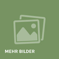 mehr Bilder sehen