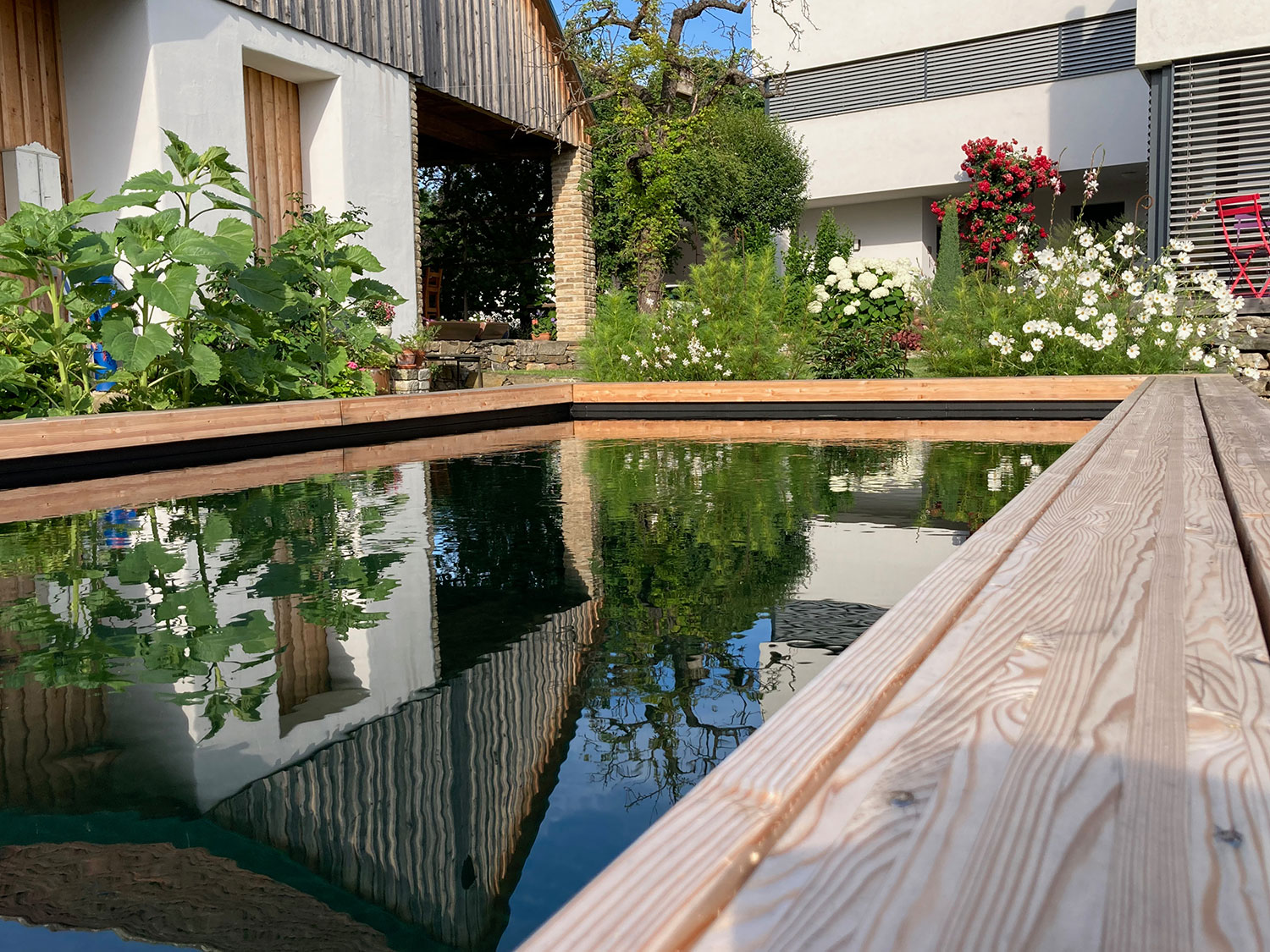 Naturpool im Garten